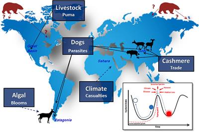 Disassembled Food Webs and Messy Projections: Modern Ungulate Communities in the Face of Unabating Human Population Growth